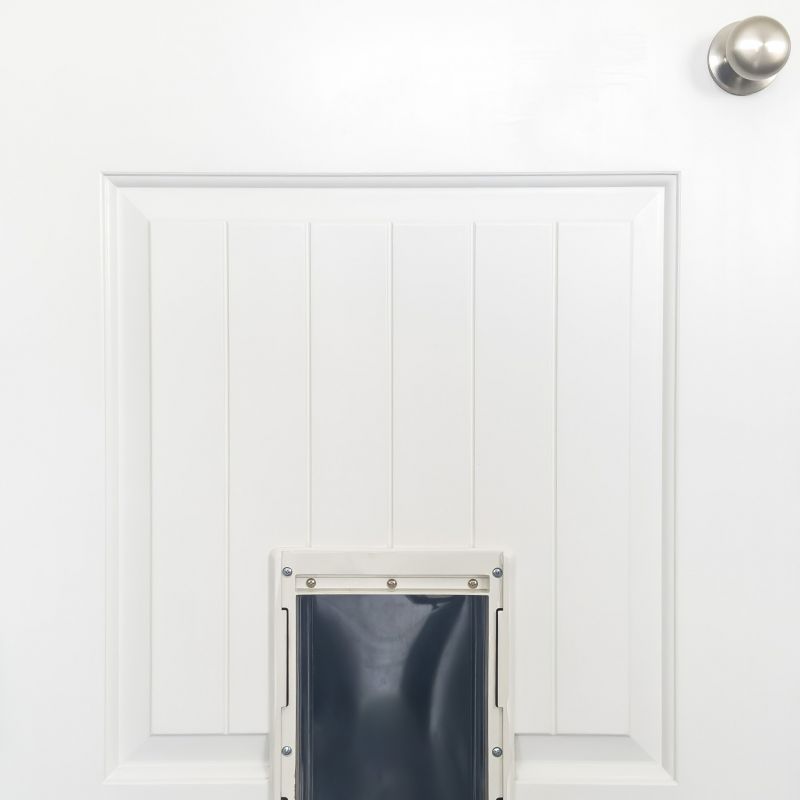 Dog Door Installation